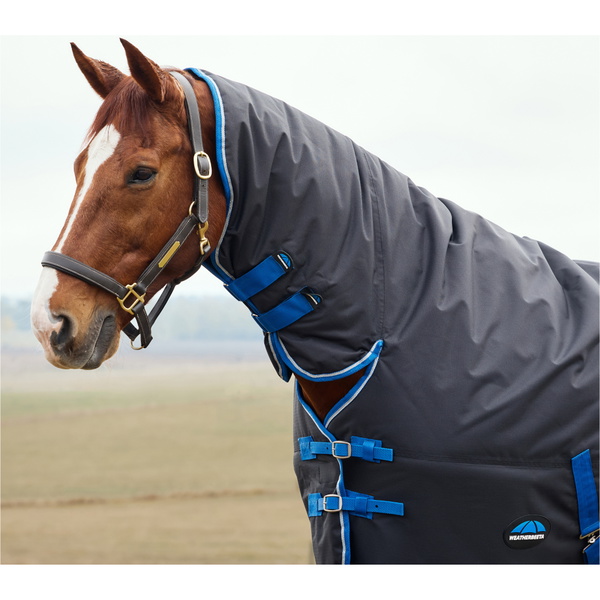 2025 Weatherbeeta Comfitec Tyro Turnout Combo Neck 220G 1029034 - Black